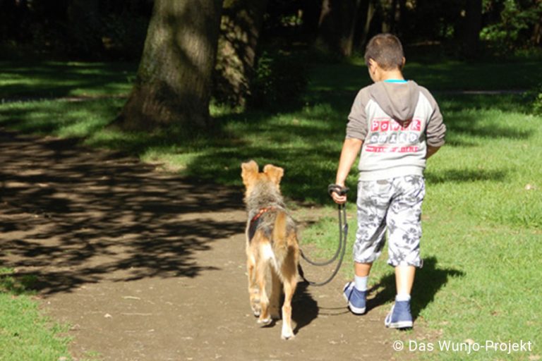 Lichtblick-Hasenbergl-01