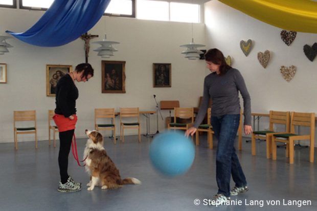 Schulung-Besuchshunde-Seniorenheim-01