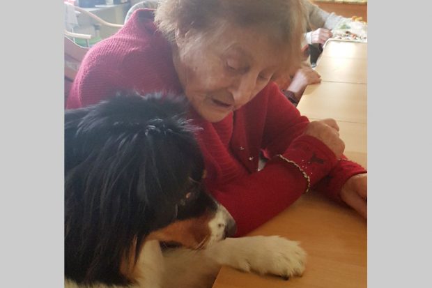 villa-am-eichenhain-1