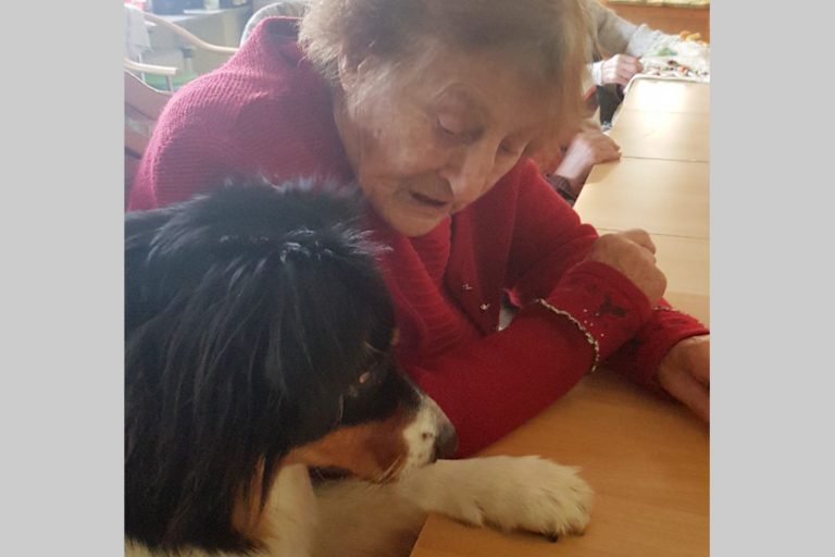 villa-am-eichenhain-1