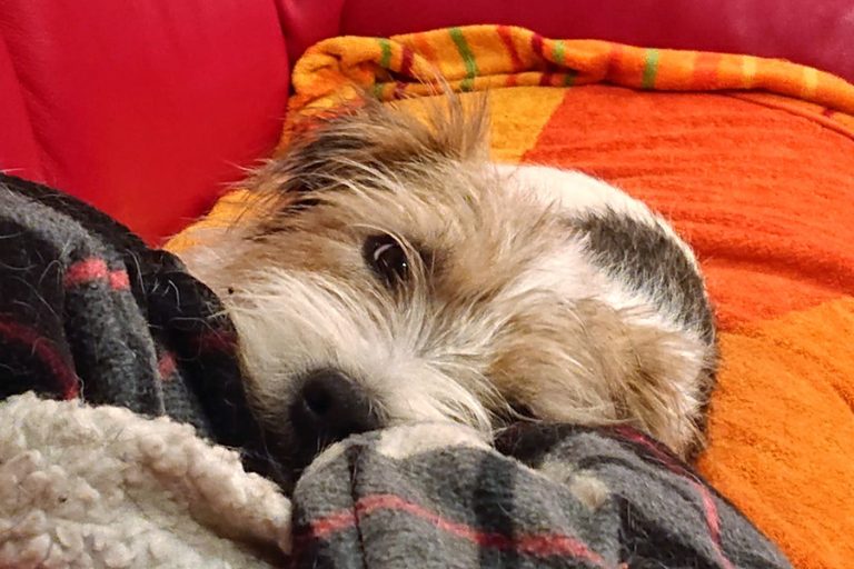 einzeltherapie-nuernberg