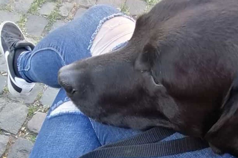 frauenhilfe-muenchen-01