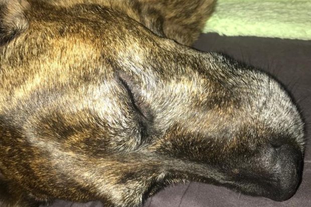 heilpaedagogisches-zentrum-hoehenkirchen-01