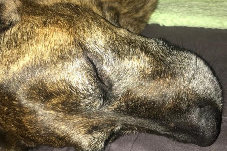 heilpaedagogisches-zentrum-hoehenkirchen-01