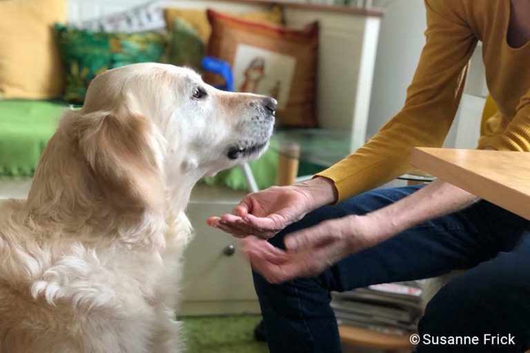 parkinson-selbsthilfegruppe-landsberg-01