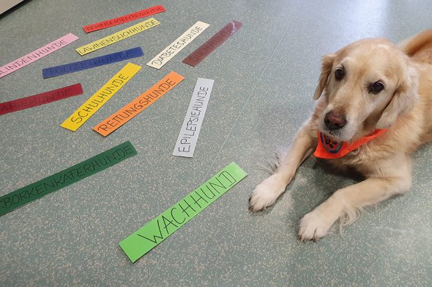 st-johannis-klinik-auerbach-01