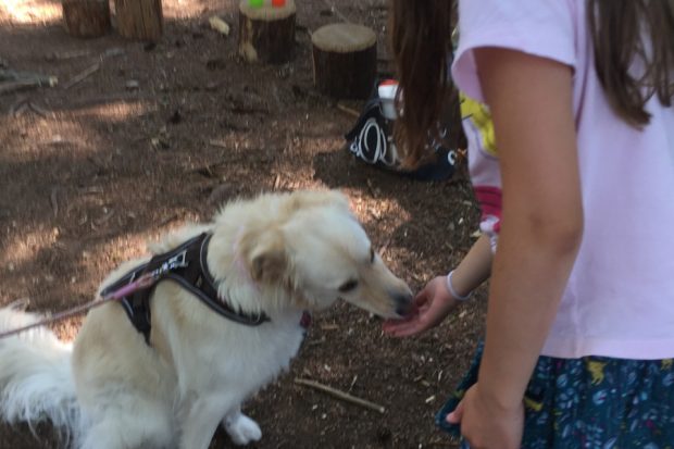 montessori-oberhaching-1