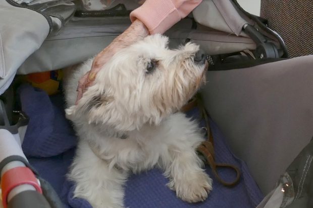 unterwegs-mit-sissi-01