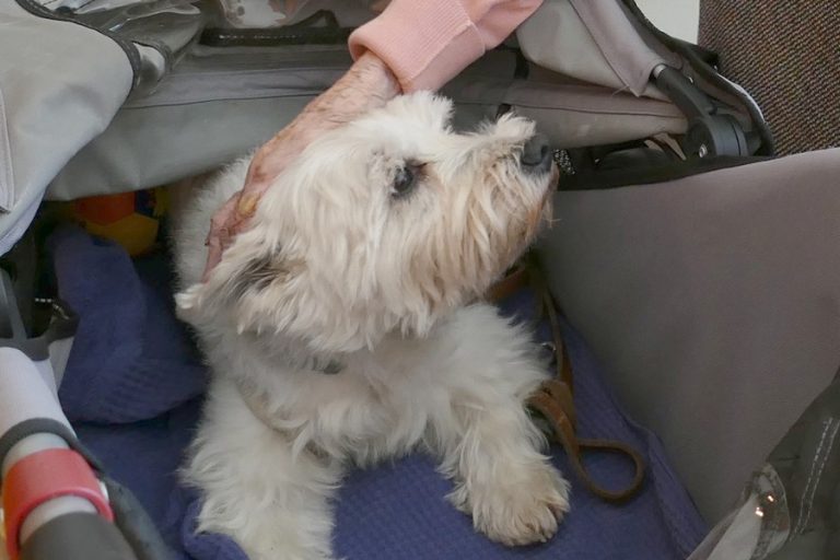 unterwegs-mit-sissi-01